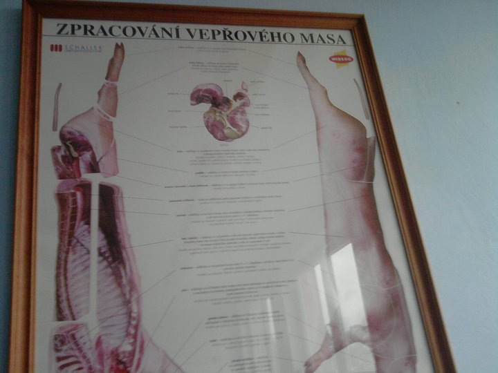 vepř.